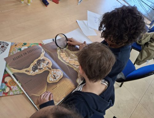 Stages scientifiques pour les jeunes à partir de 4 ans
