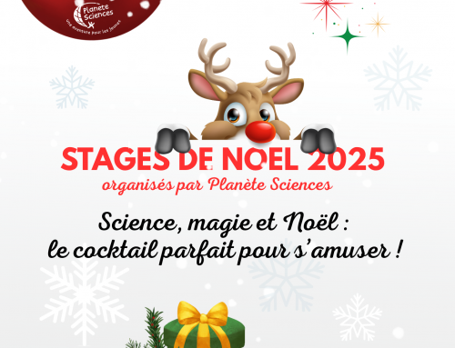 Stages de Noël 2025