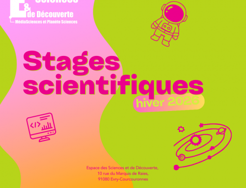 Stages d&rsquo;hiver 2026